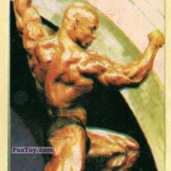 PaxToy 10 Шон Рэй (Shawn Ray)