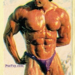 PaxToy 12